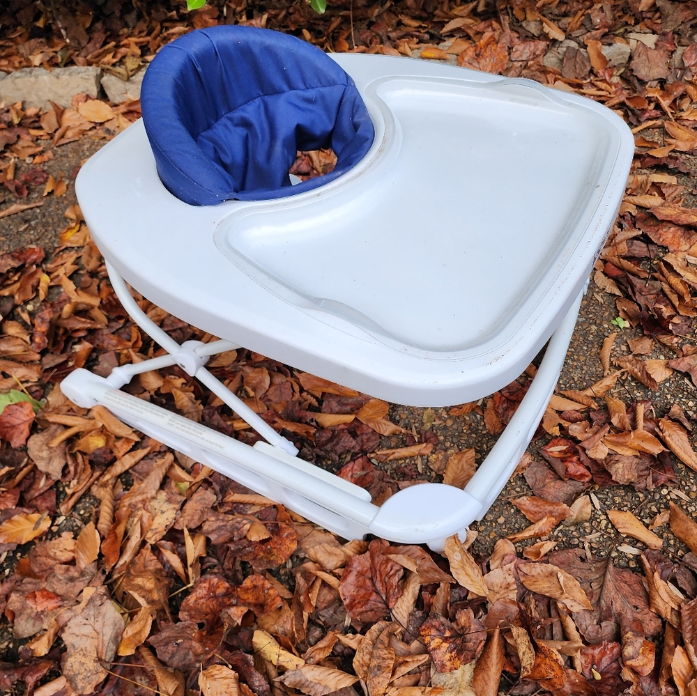 Joovy spoon walker